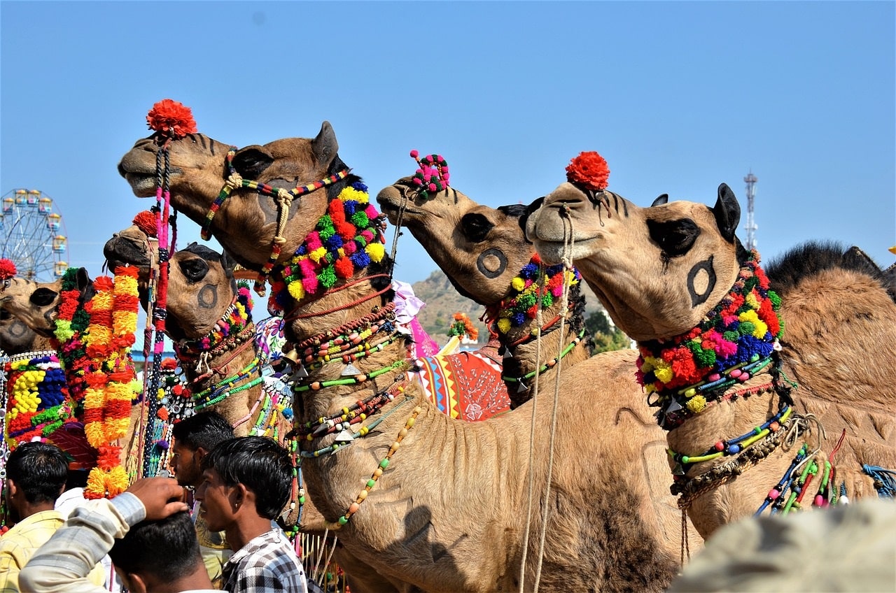 Places to Visit in Rajasthan in October