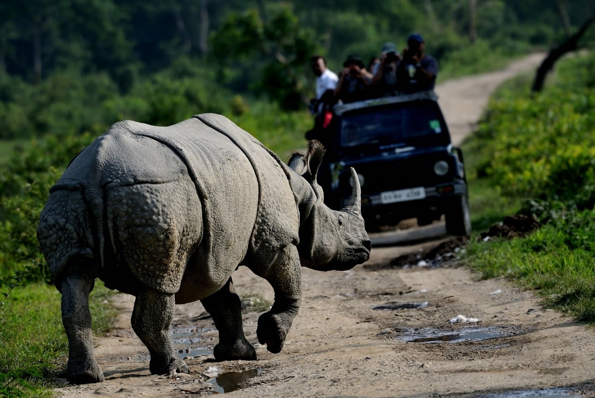 Places to Visit in Assam